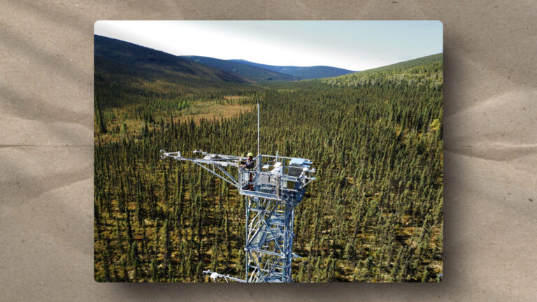 A tall metal tower stands above a dense forest of evergreen trees, with mountains in the distance. The tower supports scientific equipment and two people working, surrounded by a vast, green landscape under a clear sky.