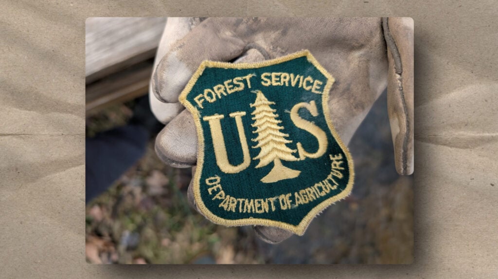 A gloved hand holds a US Forest Service patch, featuring a yellow edge, green background, gold lettering, and a large pine tree; the text reads โForest Service, Department of Agriculture.โ Blurred leaves and wood are visible in the background.